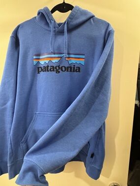 Patagonia Light Blue Logo Pullover Hoodie